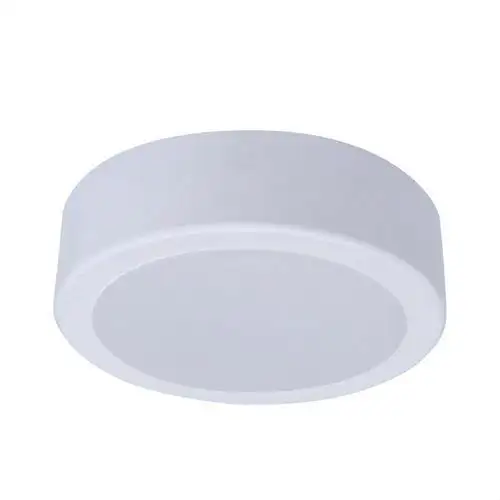 LED Ceiling Light DN065C G4 LED20/840 19W 220-240V 8-D225 with reference 46453700 from the brand PHILIPS
