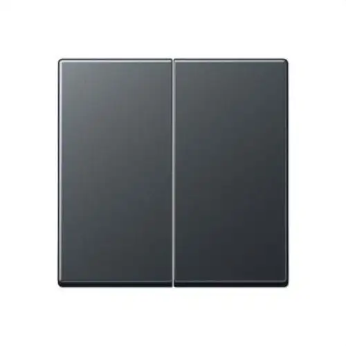 Double Rocker for Double Push Button Switch Jung A Series Matte Anthracite with reference A595BFANM from the brand JUNG