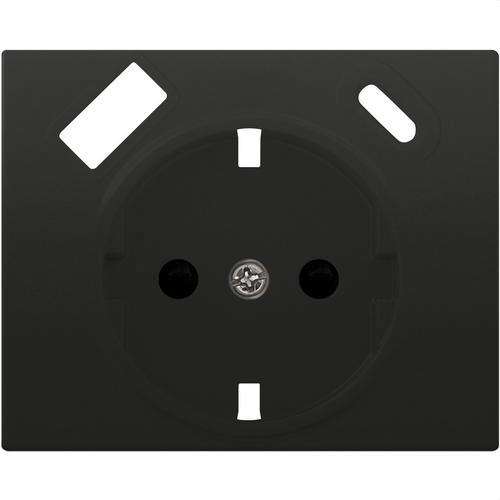 Schuko Socket Base Cover with Dual USB Anthracite Cosso Mega with reference 22724-USBC-AC from the brand BJC