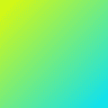 Alireza R.