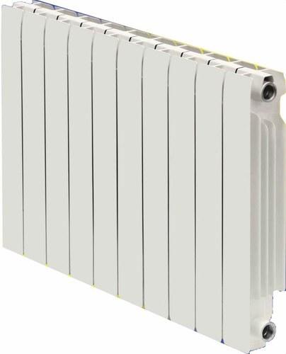Ferroli Radiator EUROPA C 450 - 5 elementen met referentie 740043005 van het merk FERROLI